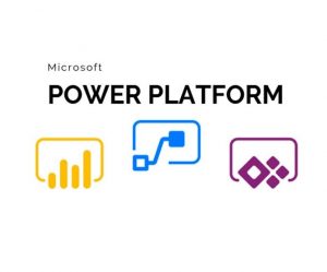 PL-400T00: Microsoft Power Platform Developer-TEOREMA